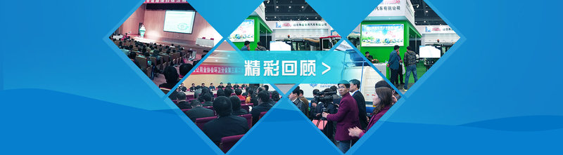 banners1.jpg