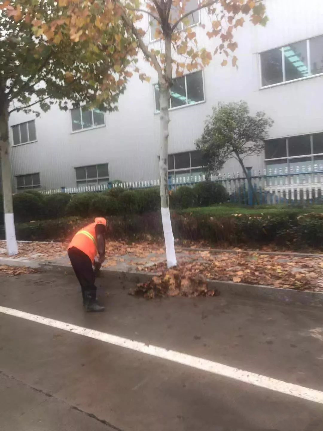 微信图片_20181227202430.jpg